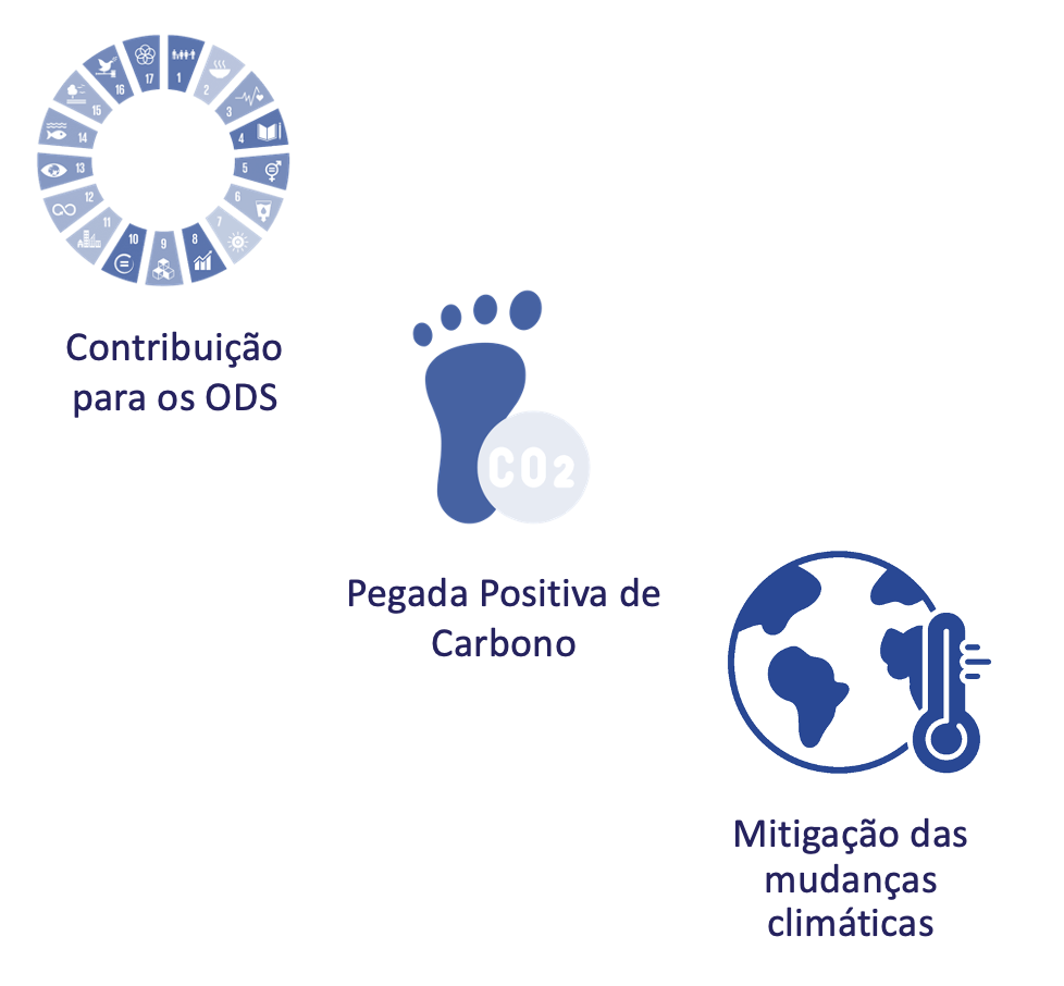 Contribuição para os ODS, Pegada Positiva de Carbono e Mitigação das mudanças climáticas - Pilares da sustentabilidade da InfraVerdeeAzul